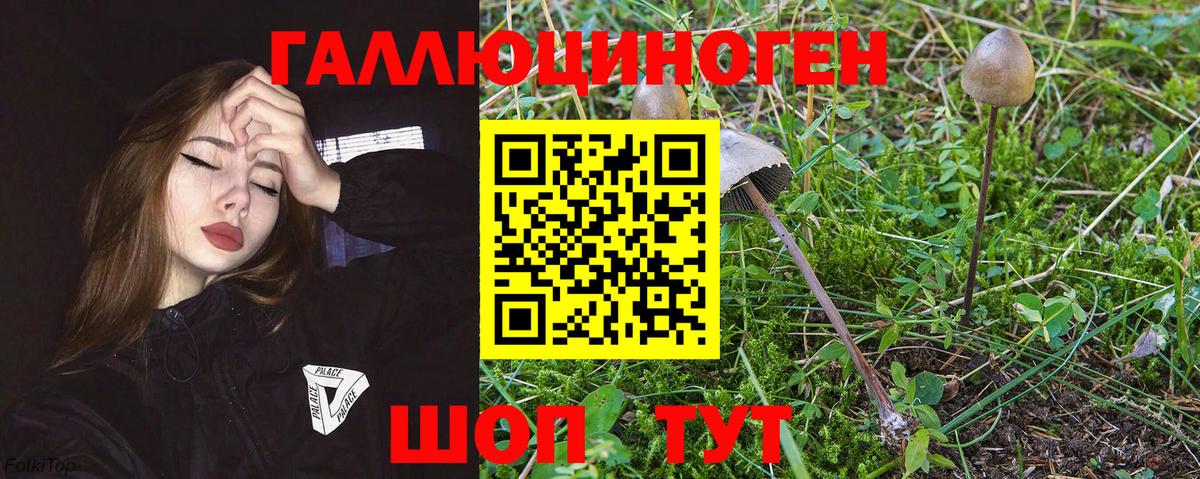 Псилоцибиновые грибы ЛСД  Вход с VPN  купить наркоту  Лесозаводск 